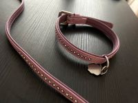 Halsband+Leine Strass lila Nordrhein-Westfalen - Mettmann Vorschau