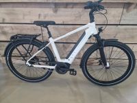 Kalkhoff Image 5.B Move+ ** Rücktrittbremse ** 75Nm / 625Wh ** Modell 2023 **E-Bike ** Schleswig-Holstein - Grauel Vorschau