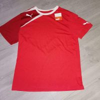 Puma Triko Shirt Tshirt Rot neu mit Etikett Baden-Württemberg - Friedrichshafen Vorschau
