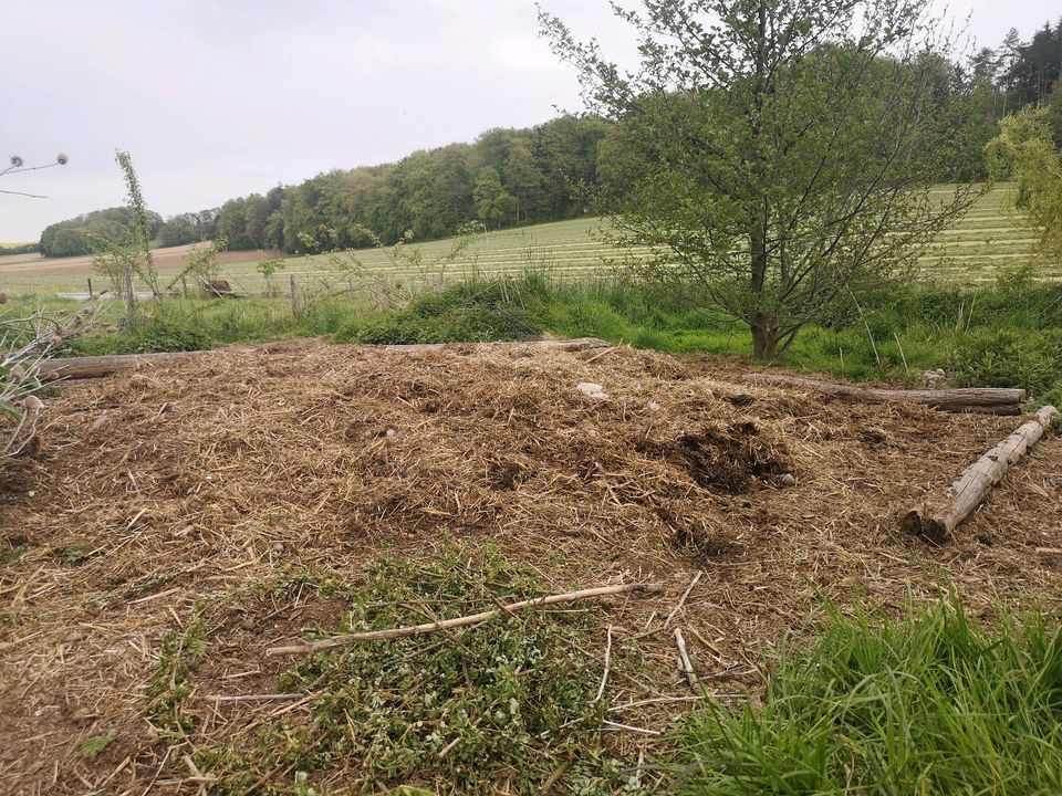 Pferdemist - Dünger - Humus in Unterneukirchen