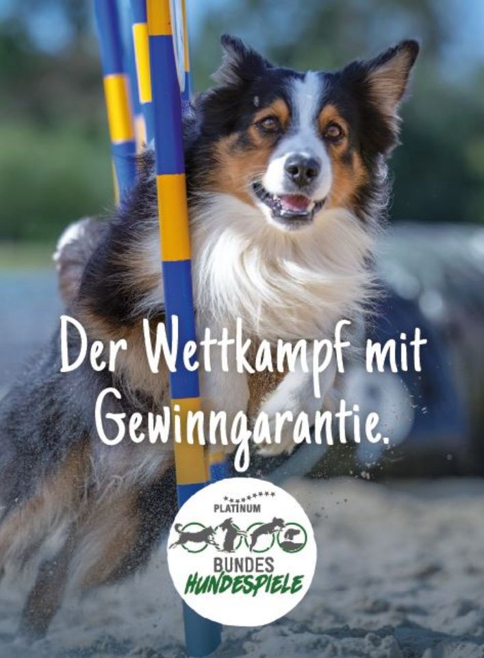 20 % Rabatt auf Tickets Bundeshundespiele 2024 - Du und dein Hund in Nienburg (Weser)