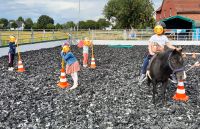 Reiten-Reitpädagogik-Ponyspielstunden  (Alter von 4-6 Jahre) Nordrhein-Westfalen - Rheda-Wiedenbrück Vorschau