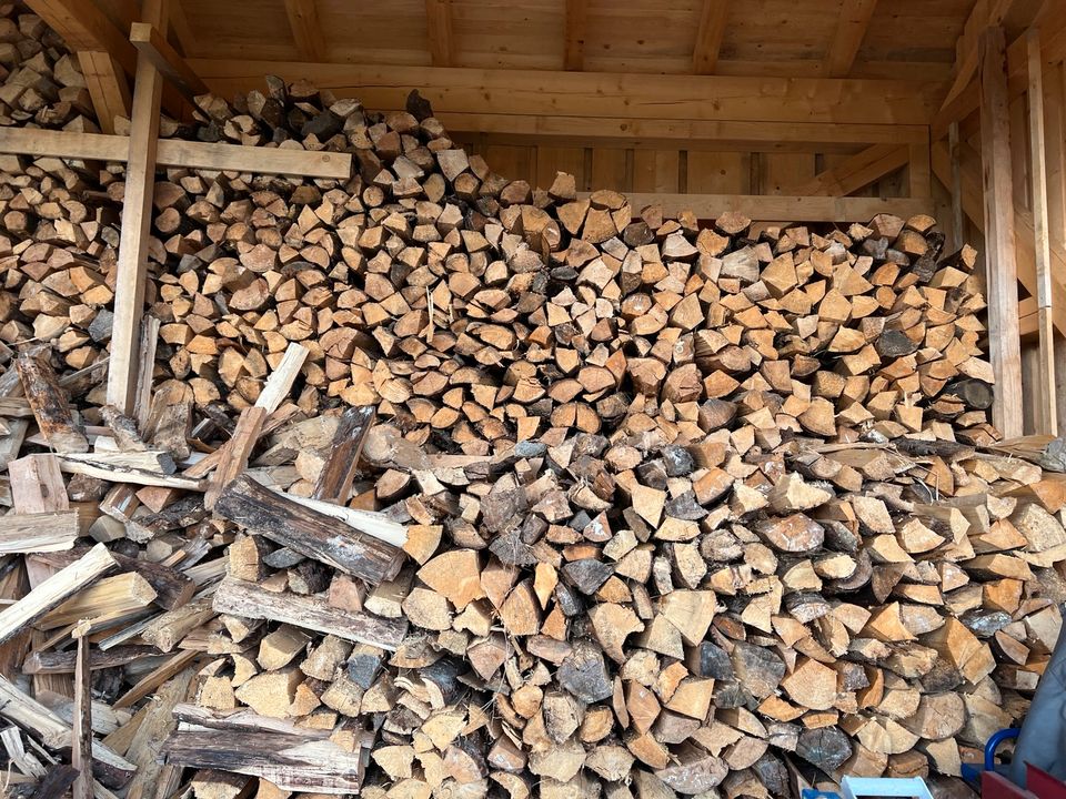 Brennholz/Kaminholz  gemischt hart/weich in Söchtenau