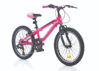 20 Zoll Alu Fahrrad Hardtail 7 Gang 20" Kinderfahrrad Mountainbike MTB Nordrhein-Westfalen - Gelsenkirchen Vorschau