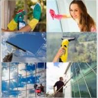 Privathaushalt/Fensterreinigung Bauendreinigung Haushaltshilfe Niedersachsen - Northeim Vorschau