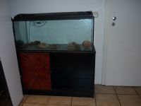 Aquarium / Terrarium mit Unterschrank /Beleuchtung Nordrhein-Westfalen - Kamp-Lintfort Vorschau