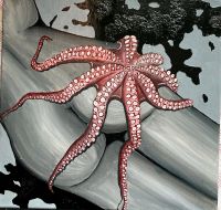 Acrylbild Oktopus Köln - Bayenthal Vorschau