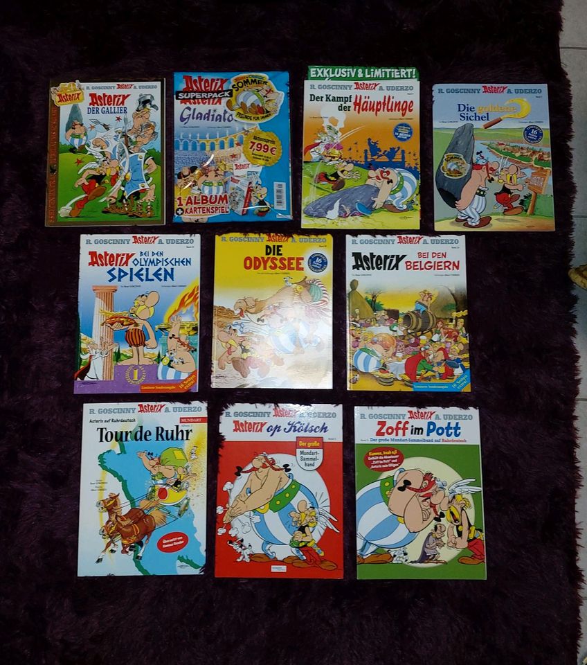 Asterix und Obelix Comics Sonderausgaben in Wegberg