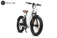 eStallion CHOPPER Unisex 250W 48Nm, 750Wh Elektro Fatbike Düsseldorf - Friedrichstadt Vorschau