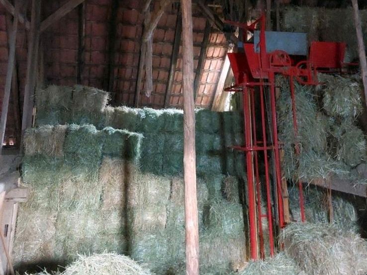 Heu HD-Ballen kleine Ballen Top Qualität Staubarm in Rimbach