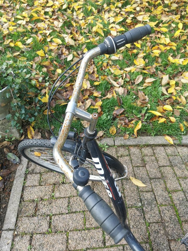 Damen Fahrrad in Gieselwerder