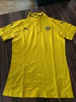 BVB Poloshirt Größe M Nordrhein-Westfalen - Hagen Vorschau