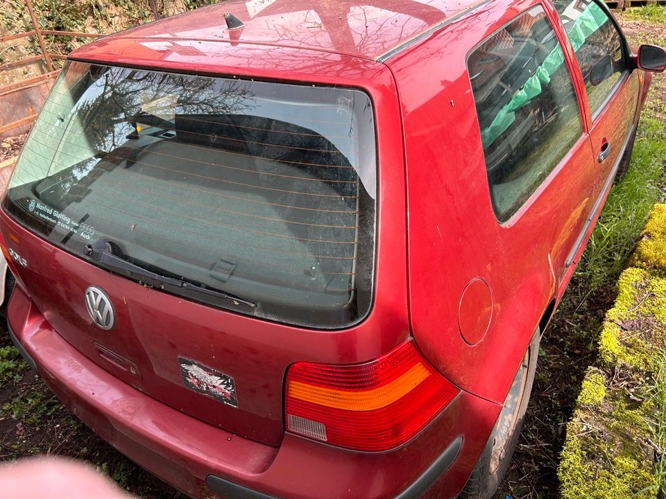 Volkswagen Golf 4 in Kaiserslautern