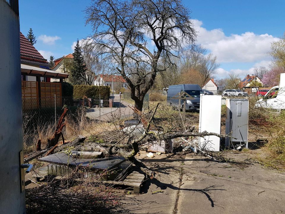 Haushaltsauflösungen * wir von hier / Beräumung + Antik Ankauf in Dresden