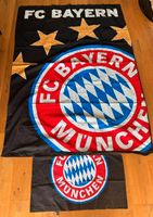 FC Bayern Bettwäsche leuchtet im Dunkeln !! Sachsen-Anhalt - Schönebeck (Elbe) Vorschau