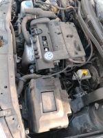 VW Golf 4 : 1,4 Liter Motor Nordrhein-Westfalen - Gladbeck Vorschau