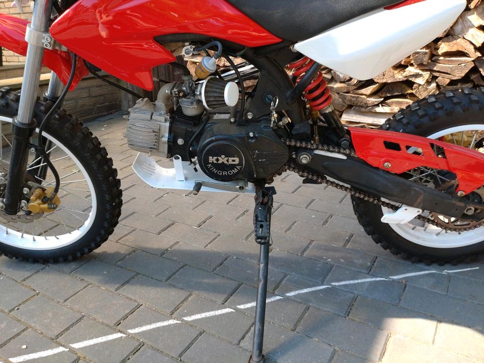 Pitbike 125ccm von der Marke kxd an Bastler zu verkaufen in Dorsten
