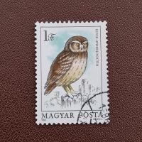 Ungarn Eule Greifvogel Raubvogel Briefmarke #0978 Niedersachsen - Aurich Vorschau
