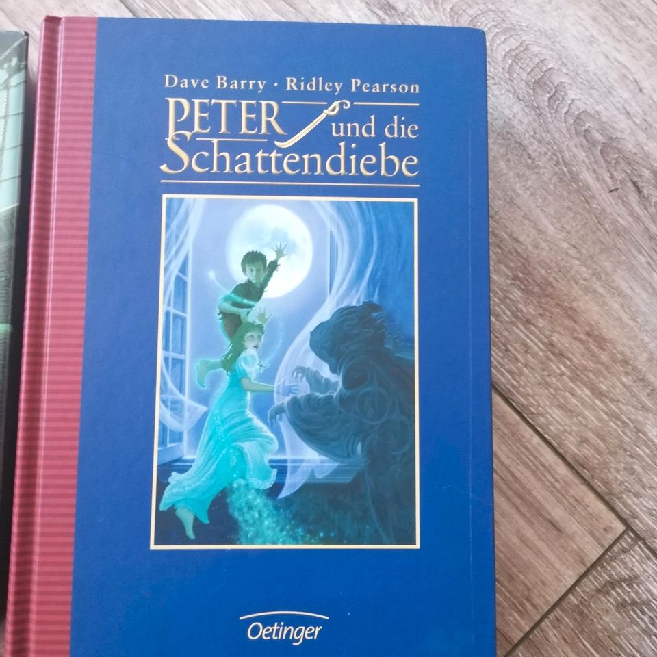 Fantasy, Jugend Bücher, Peter und die Sternenfaenger, 2 Hardcover in Ostfildern