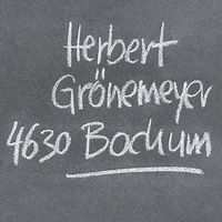 Suche Grönemeyer 2 Tickets für den 15.06. in Bochum Nordrhein-Westfalen - Heinsberg Vorschau