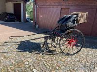 Elegante Gig - Kutsche für Großpferde Niedersachsen - Stuhr Vorschau