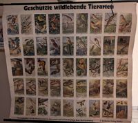 Schautafel: Geschützte Tierarten, Wandtafel,Schultafel Bayern - Hallstadt Vorschau