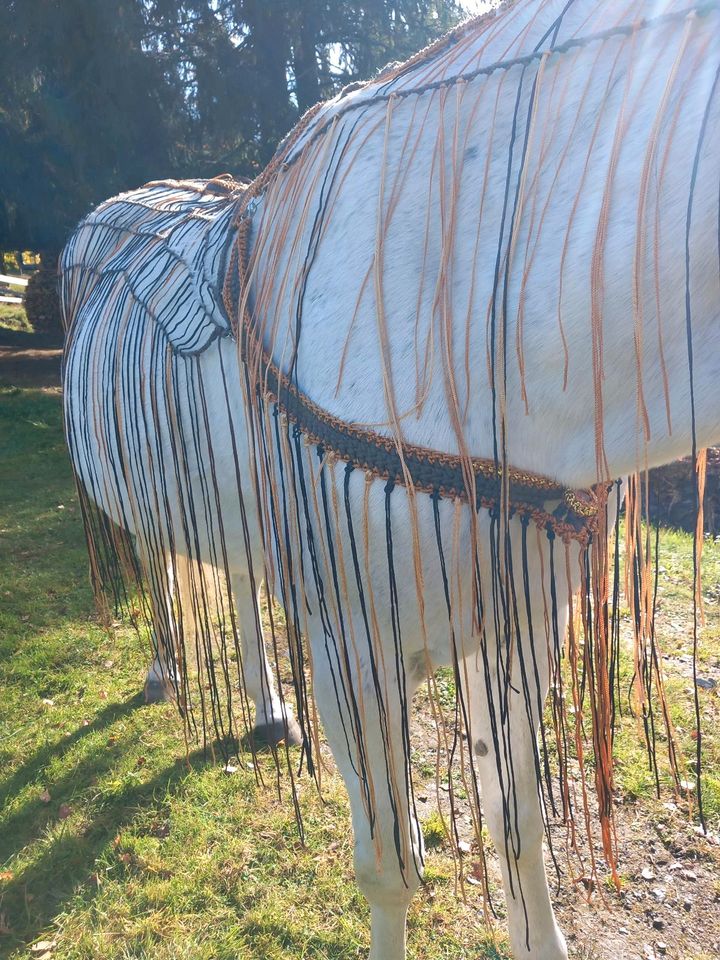 Fliegenausreitedecke nach Maß vom Kaltblut bis Pony in Rosenheim