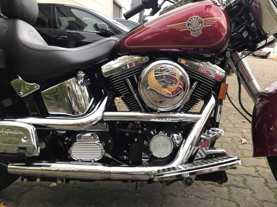 Harley Davidson Fat Boy FXST in Hamburg