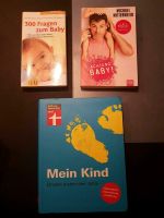 PAKET Ratgeber Achtung Baby Die ersten 3 Jahre NP 34,79 € Rheinland-Pfalz - Gau-Bischofsheim Vorschau