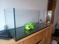 Aquarium 100x40x40 cm ohne Abdeckung Bochum - Bochum-Ost Vorschau