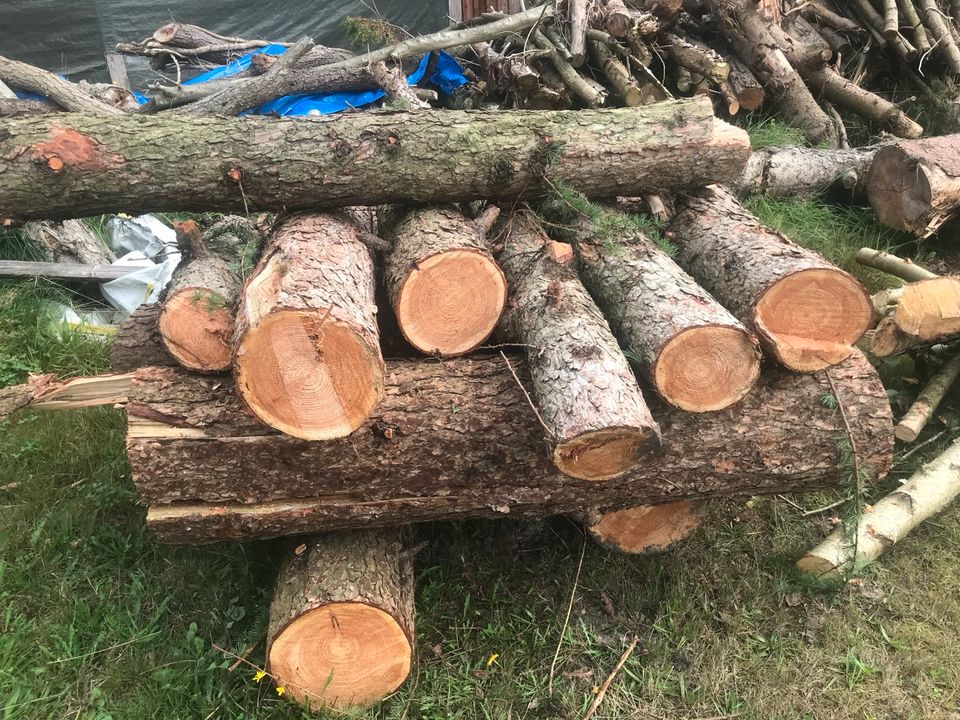 Kiefernholz Stämme Kamin holz Brennholz Baum  zerlegt in Hamburg