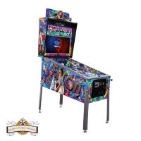 Flipperautomat Jersey Jack Pinball, ELTON JOHN PLATINUM Hessen - Echzell  Vorschau