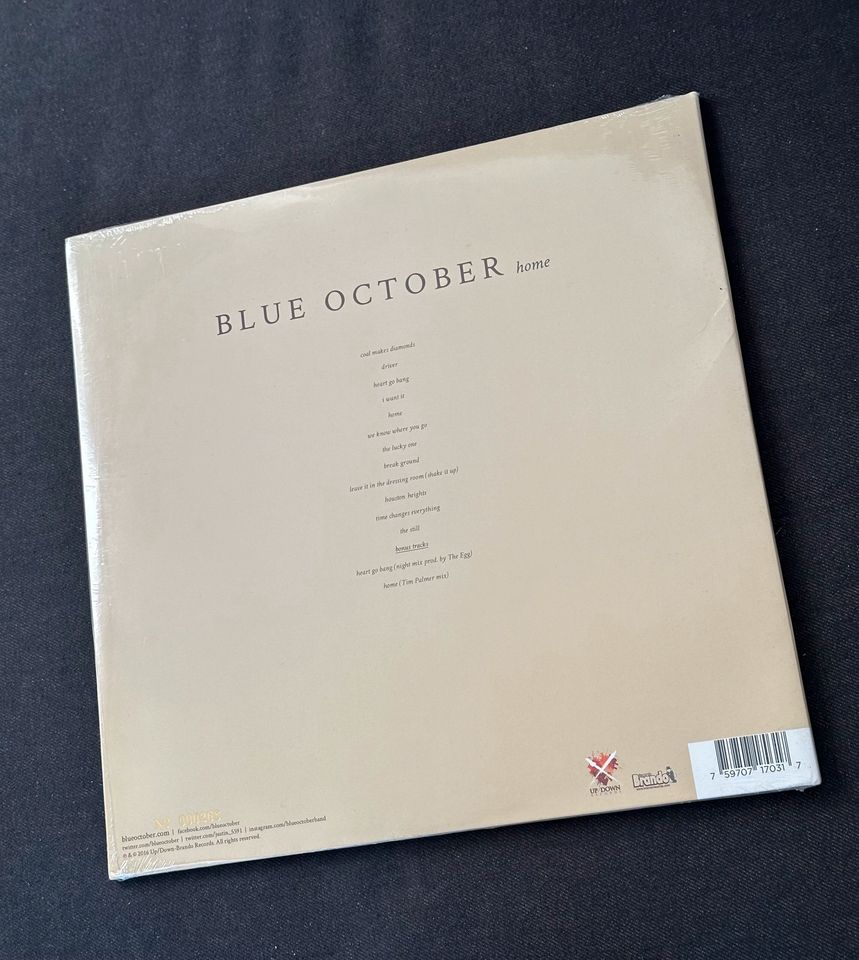 LP Vinyl Home Blue October Rarität limitierte Auflage in Lutherstadt Wittenberg