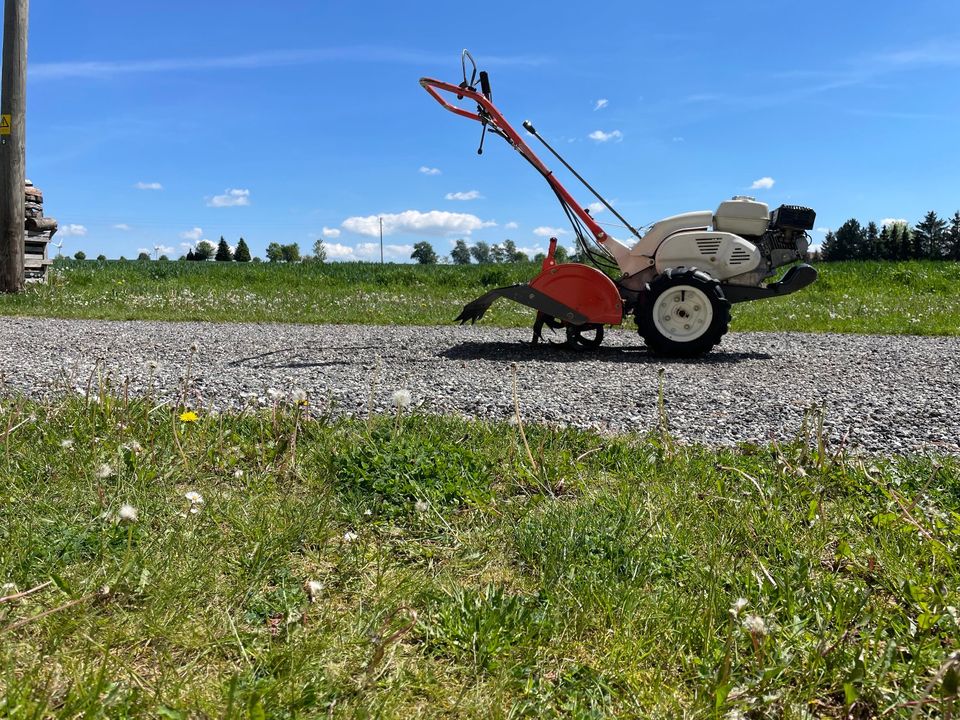 Orec Bodenfräse SF600D Herkules Bodenhacke Motorhacke Gartenfräse in Heilbad Heiligenstadt