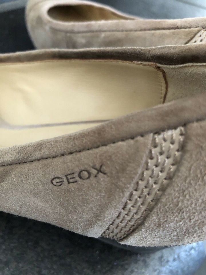 Geox Schuhe/inkl.Versand in Neu-Anspach