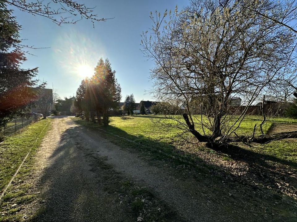 Gehöft mit historischer Scheune, individuellem Holzhaus & 20.113 m² Grundstück in idyllischer Lage mit vielen Nutzungsmöglichkeiten in Wittstock/Dosse