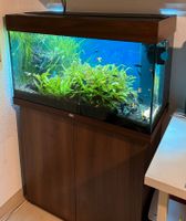 Juwel Aquarium RIO 125 LED mit Unterschrank, CO2, Zubehör, Fische Hessen - Eschborn Vorschau