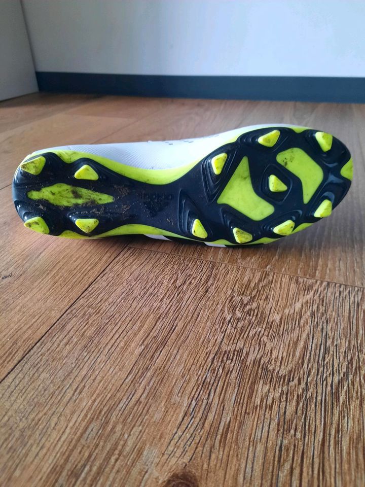 Adidas Predator Accuracy. 4 in Rheine