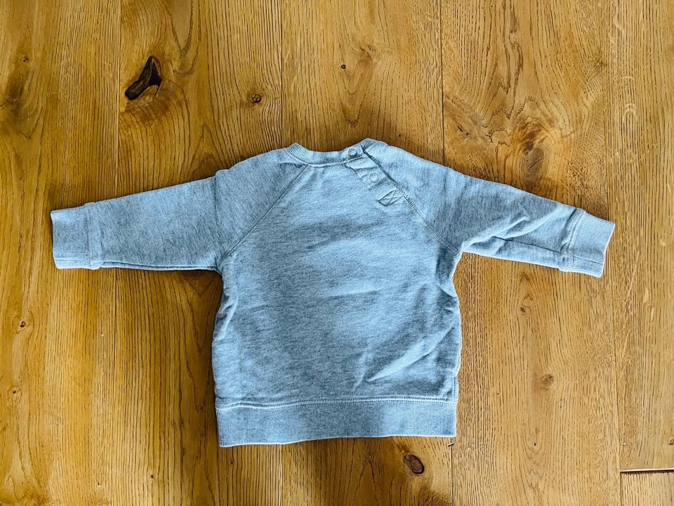 H&M Pullover Bär Gr. 80 in Leonberg