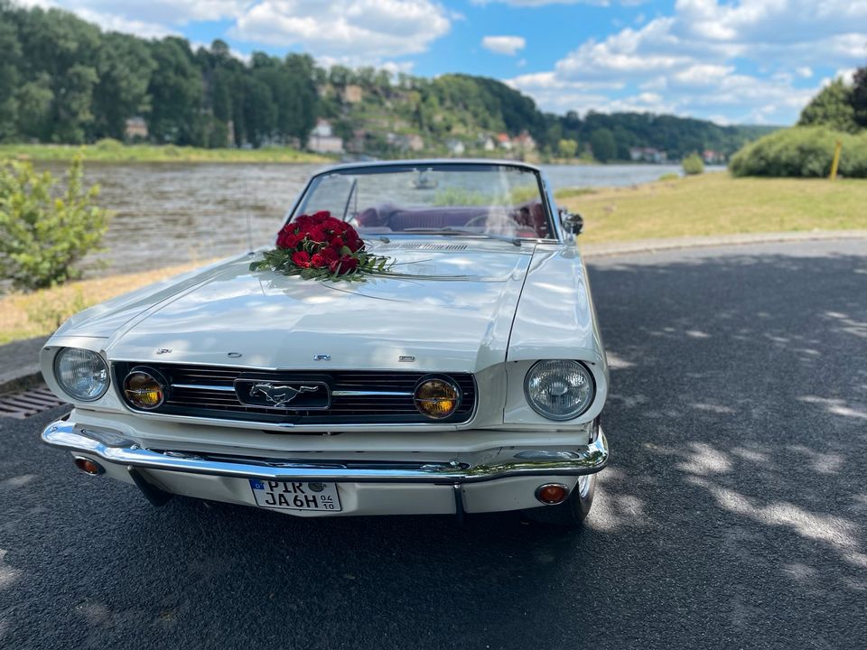 Mustang als Hochzeitsauto mieten - schickes weißes Cabrio mit V8 in Pirna