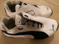 Puma Drift Cat Low boot Sneaker Gr. 31 Niedersachsen - Wietzendorf Vorschau