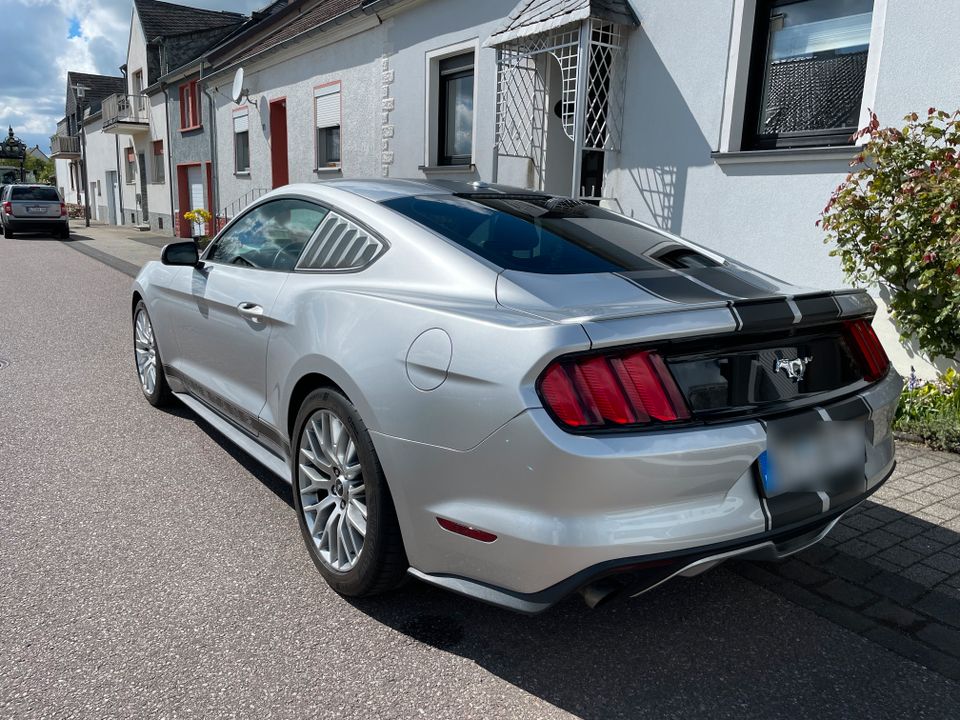 Ford Mustang 2.3 EcoBoost FRISCHER SERVICE + TÜV in Orenhofen