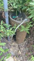 kleiner Standbrunnen Guss für den Garten Brunnen Rheinland-Pfalz - Trier Vorschau