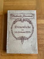 Dirnenliebe Wilke Hermann 1920 buch antiquarisch Sammler Bayern - Kleinheubach Vorschau