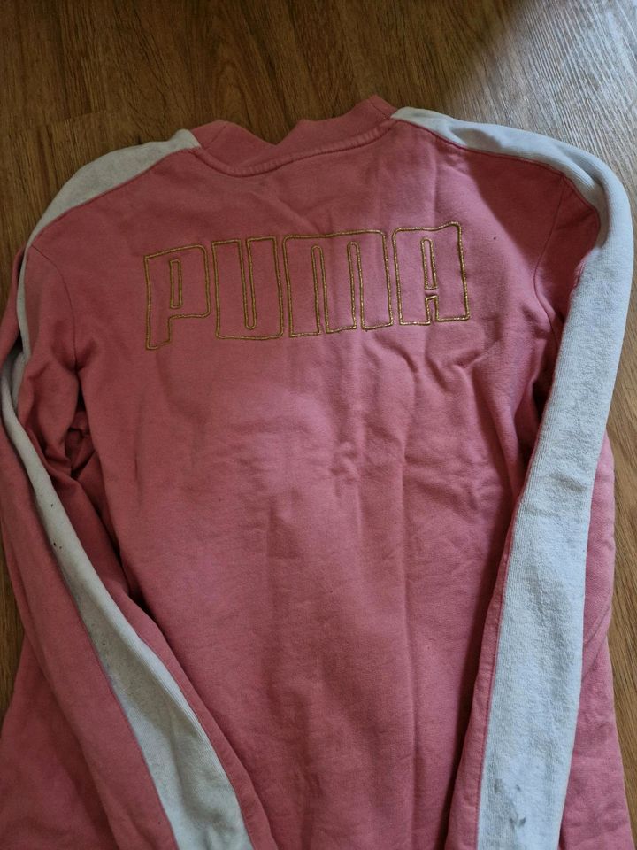 Puma Kleid XS 34 164 176 S 36 Hauskleid loungewear in München