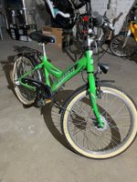 Pegasus Arcona 20" Kinderfahrrad Berlin - Zehlendorf Vorschau