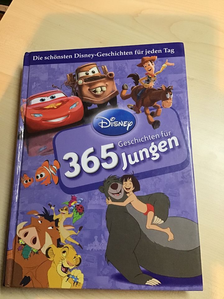 Buch die schönsten Disney Geschichten 365 Geschichten für Jungs in Barsinghausen