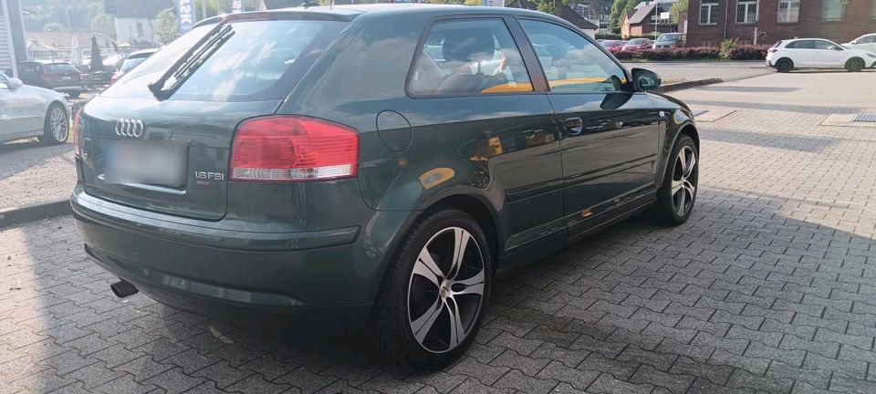 AUDI A3 1.6 FSI 6 GANG TUV 2025 in Gummersbach