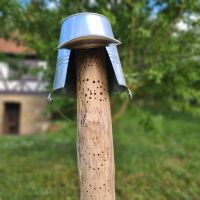 Bienenhotel Nisthilfe Refugium für Wildbienen Nachhaltig Deko Baden-Württemberg - Großbottwar Vorschau
