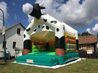 Profi Hüpfburg -  Kuh - 5x4m 100€ pro Wochenende Niedersachsen - Braunschweig Vorschau